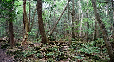 Bütün Çöpleri Geri Dönüştürerek Sıfır Atık Üretmenin Sınırındaki Japon Kasabası: Kamikatsu