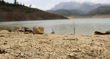 Cezayir için bir kez daha 