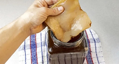 Çinlilerin 100 yaşına kadar yaşamasının sırrı onda gizli! Tek başına binbir derde deva...