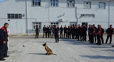 Çorum Belediyesi afetler için arama kurtarma köpeği yetiştiriyor