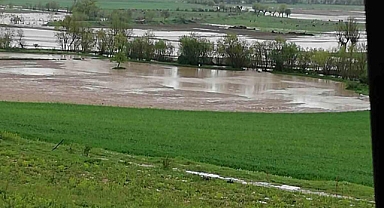 Debisi yükselen çay taştı, tarım arazileri sular altında kaldı