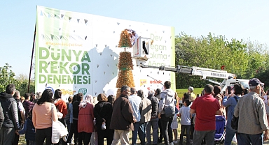 Didim Vegfest 5 metrelik vegan lokma ağacı ile kapandı 