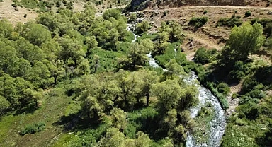 Doğaseverlerin uğrak yeri oldu! Girlevik Şelalesi’ne hayat veriyor