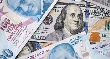 Dolar/TL'de oynaklık 16 ayın zirvesinde