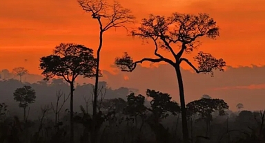 Dr. Özdemirci: 'Ekolojik kriz’ bir sistem krizidir 