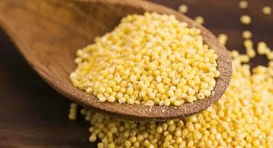 Dünyanın en zengin magnezyum kaynağı! Bağırsaklarda toksin bırakmıyor ''Darı''