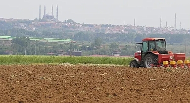 Edirne'de hastalıklara dayanıklı yerli hibrit ayçiçeği tohumları toprakla buluşuyor