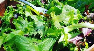 Eklem ağrılarına iyi gelen 5 besin