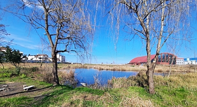 Ekoloji savunucuları Ordu’da betonlaşmayı artıracak imar değişikliğine itiraz etti