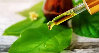 Ellerdeki kırışıklıkları 15 dakikada açan yöntem! Yaşlılık izlerini tamamen siliyor