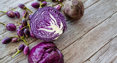 En besleyici 8 besin!