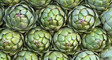 Enginarın 5 faydası ve lezzetli enginar tarifi