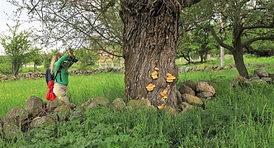 Eskişehir'de “Doğa ve Tarihle Bütünleşme Fotoğrafçılık Gezisi” düzenlendi 