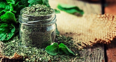 Evde nane nasıl kurutulur?