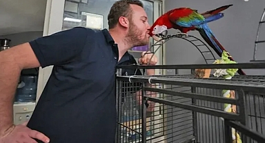 Evinden iş yerine götürdüğü papağan esnafın neşe kaynağı oldu