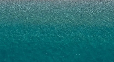 Fransa'da itfaiyeciler suyu kuraklık nedeniyle yüzme havuzlarından karşılıyor