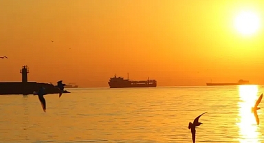 Gelecek 5 yıl için 