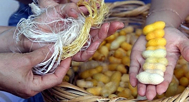 Hatay'ın gözdesi ‘barış ipeği' dünyaya açılmaya hazırlanıyor 