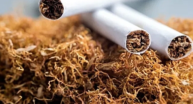 ‘Her gün sigara içmek beyni küçültüyor’