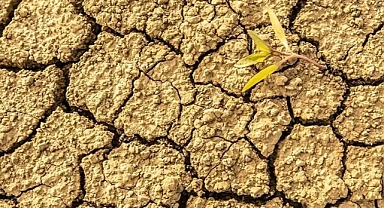 İklim değişikliği ani kuraklıklara geçişi tetikliyor