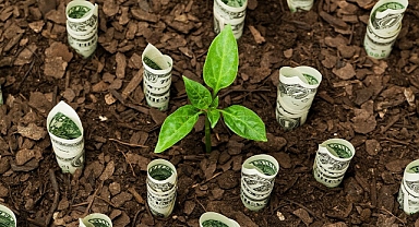 İklim krizi ve Yeşil Devrim bankacılık sektörünü nasıl etkiliyor?