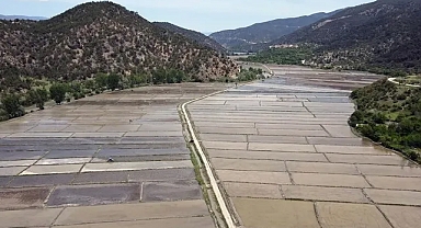 İlk çeltik fabrikasının kurulduğu Tosya'da çeltik ekimi başladı