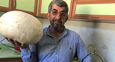 İlk kez ortaya çıktı, köylüler buldu! Kaya sandılar, kesip parçaladılar