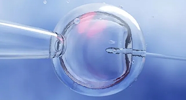 İngiltere'de ilk kez üç kişinin DNA'sını taşıyan bir bebek dünyaya geldi