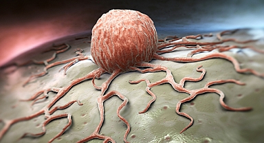 İnsanlarda Bilinen En Eski Kanser Vakası Hangisi?