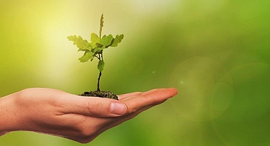 İş dünyası örgütleri yeşil dönüşüme uyum için görevde 