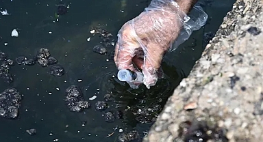 İzmir Körfezi içi uyarı: Önlem alınmazsa müsilaj artar