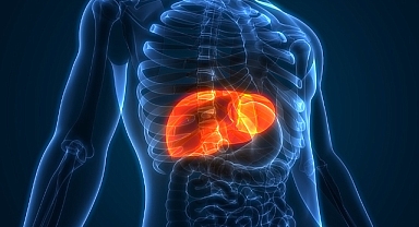 Karaciğer büyümesinin 5 önemli belirtisi