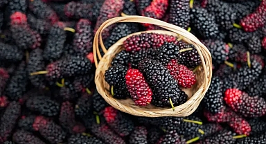 Karadutun bilinmeyen 5 mucizevi faydası