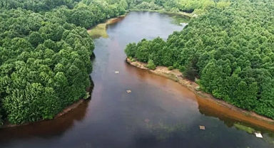 Karlık Yaylası'nda doğa görsel şölen sunuyor
