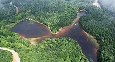 Karlık Yaylası'nda doğa görsel şölen sunuyor