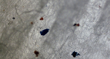 Kullandığımız tüm şekerlerde mikroplastik çıktı