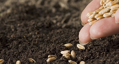 Kuraklığa Direnci Artıran Mikrobiyal Tohum Kaplamaları