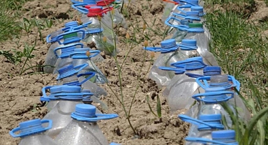 Kuraklığa karşı pet şişeli çözüm: Seraya dönüştürdü