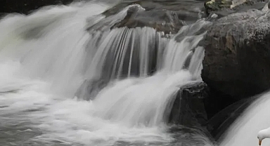 Kuraklıkla da mücadele eden inci kefalinin Van Gölü'nden tatlı sulara göçü başladı
