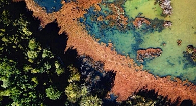 Küresel yüzey sıcaklığı 1970'ten bu yana daha hızlı yükseliyor 