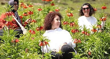 Muş'un zirveleri ters lalelerle renklendi