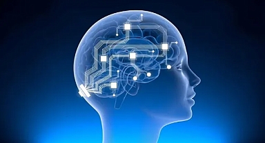 Musk'ın beyin çipi firması insan çalışması için onay aldı 