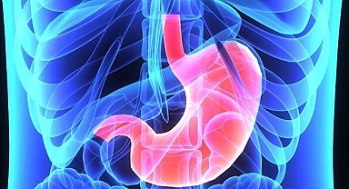 Öksürük şikayetiyle hastaneye gitti, midesinden onlarca larva çıktı