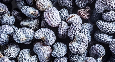 Omega-3'te somon balığını solladı...Vücudu tıka basa vitamin dolduruyor!