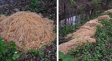 Ormanda bulunan 230 kiloluk makarna kafaları karıştırdı