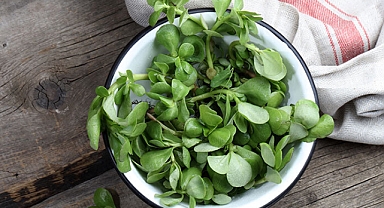 Otizm riskini azaltan tek sebze! Vücudu omega-3'e doyuruyor!