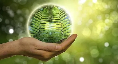 Oxford: Yeşil enerji 5 yılda 811 milyar avro yatırımla AB'de Rus gazının yerini alabilir