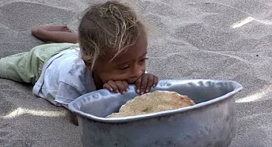 Papa’dan evcil hayvanlara 'çocuk' muamelesi yapılmasına tepki: 'Bir sürü çocuk aç'