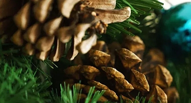 Saç çıkaran en etkili yöntem!