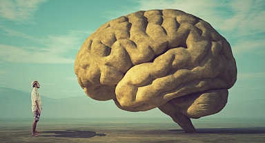 Seçimlerin Psikolojik Etkisi